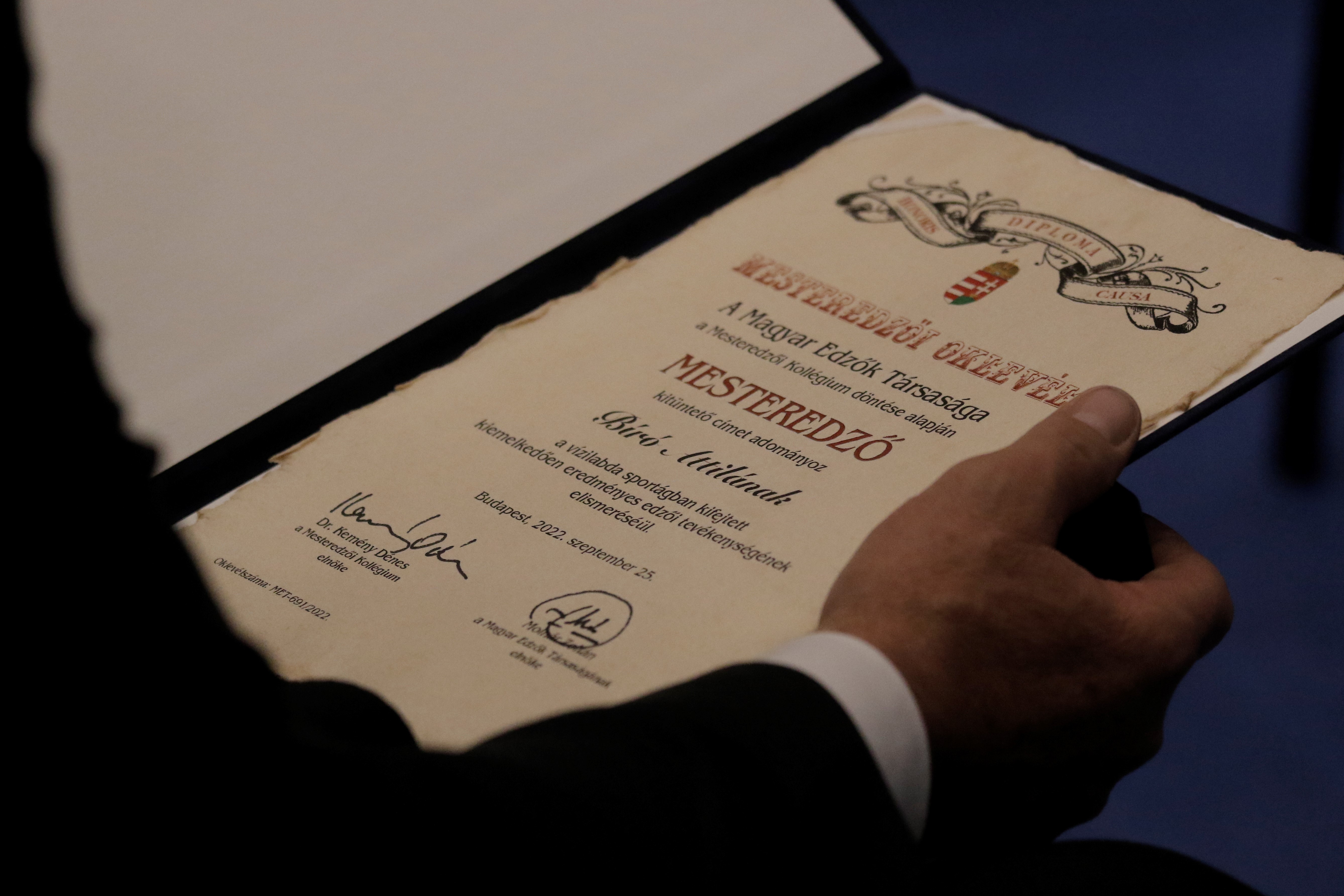 Mesteredzői és Életmű Díj